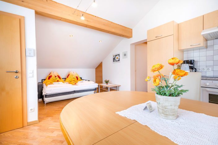 Appartement A in Flachau-Reitdorf, Salzburger Land